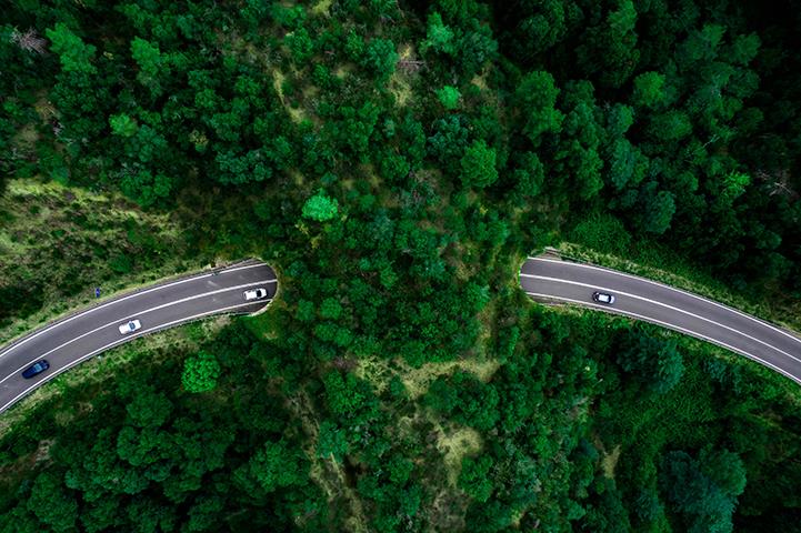 overpass with trees and grass on it